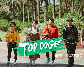 91妻友《TOP DOG》免费在线观看