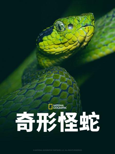 91导航《奇形怪蛇》免费在线观看